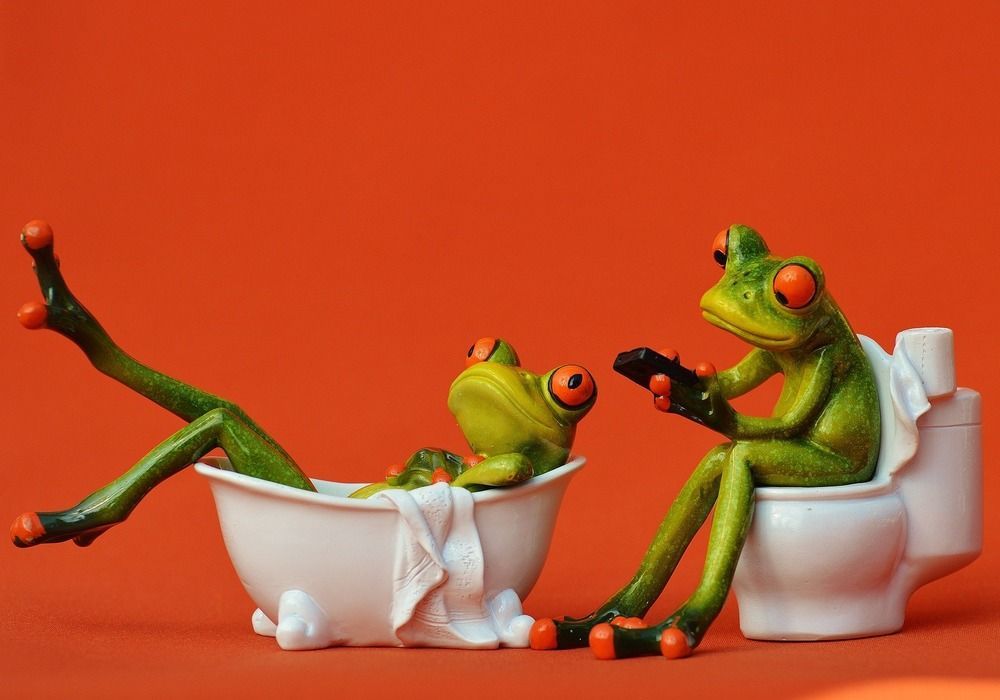 10 интересных фактов о сантехнике